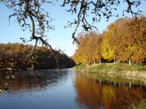 gite en auvergne gite à louer 63